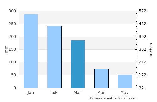 Cambuí average rain in March
