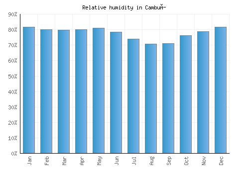 Cambuí relative humidity averages