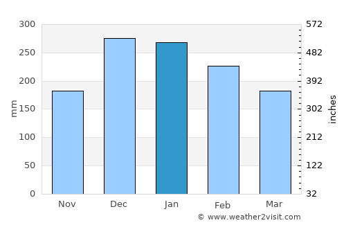 Cambuquira average rain in January