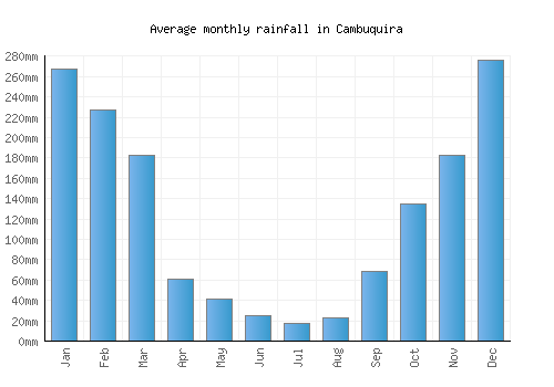 Cambuquira monthly rainfall chart (mm)