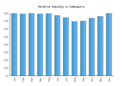 Cambuquira relative humidity averages