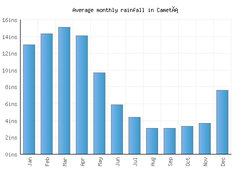 Cametá monthly rainfall chart (inches)