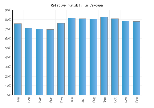 Camoapa relative humidity averages