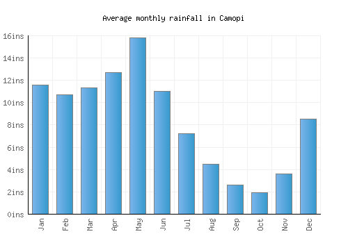 Camopi monthly rainfall chart (inches)
