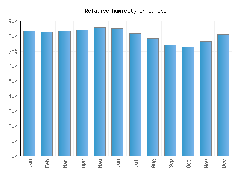Camopi relative humidity averages