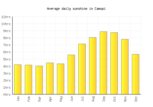 Camopi average daily sunshine chart