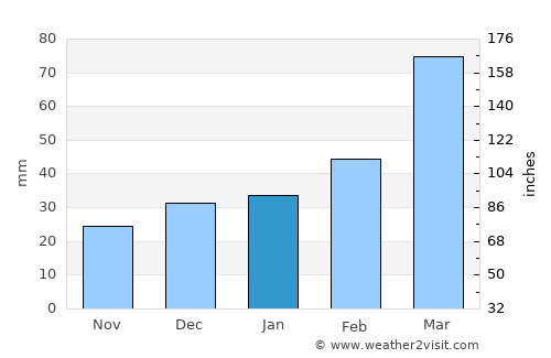 Campo Alegre average rain in January