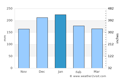 Campo Grande average rain in January