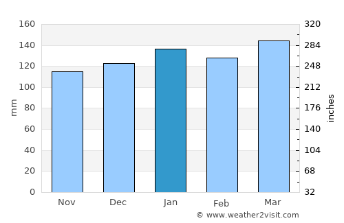 Campo Largo average rain in January