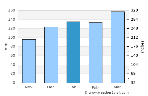 Canto do Buriti average rain in January