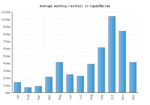 Capatárida monthly rainfall chart (mm)