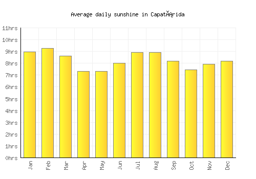 Capatárida average daily sunshine chart