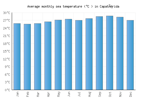 Capatárida average sea temperature chart (Celsius)