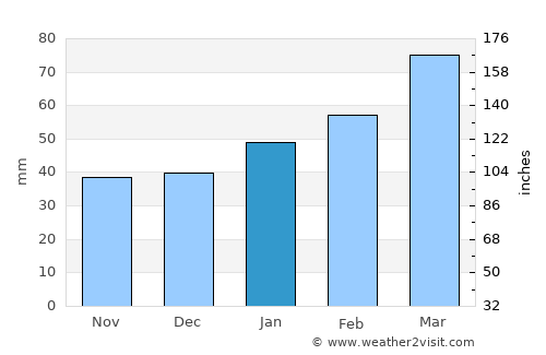Cape Coral average rain in January