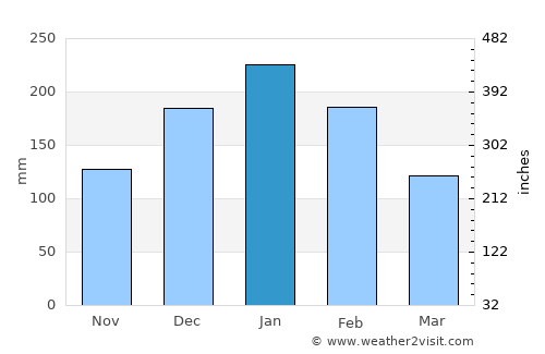 Capivari average rain in January