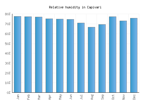 Capivari relative humidity averages