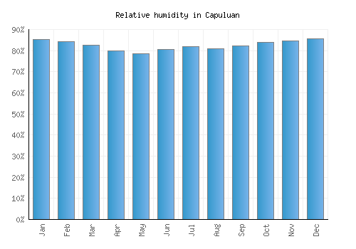 Capuluan relative humidity averages