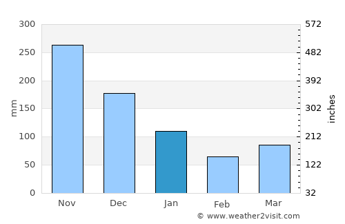 Caracal average rain in January