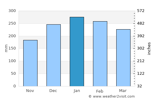 Caraguatatuba average rain in January