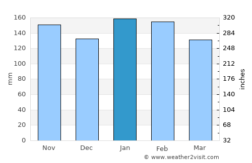Caraguatay average rain in January