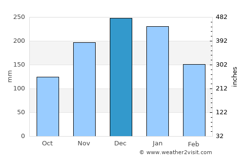 Carangola average rain in December