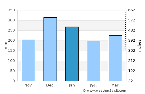 Carmo do Cajuru average rain in January