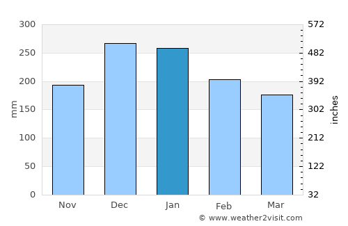 Carmo do Rio Claro average rain in January