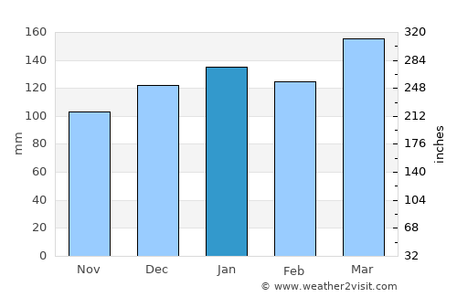 Carnesville average rain in January