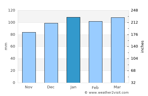 Carolina Beach average rain in January