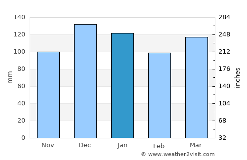 Carrilobo average rain in January