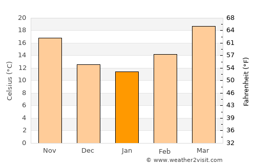 Carrizo Springs average temperature in January