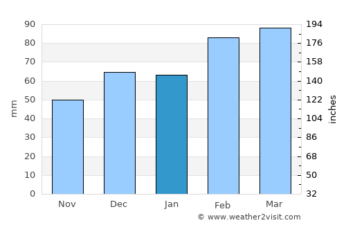 Carrollwood Village average rain in January