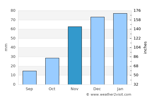 Carson City average rain in November