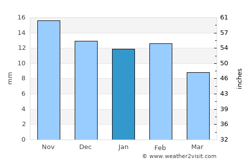 Castaños average rain in January