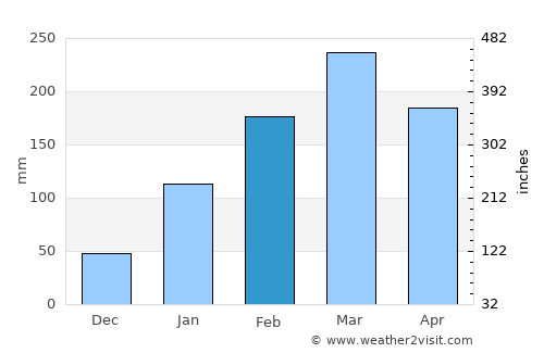 Cedro average rain in February