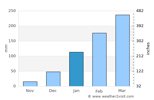 Cedro average rain in January