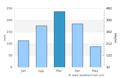 Cedro average rain in March