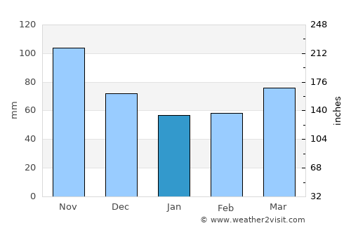 Celje average rain in January