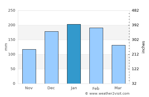 Cerqueira César average rain in January