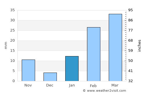 Chākuliā average rain in January