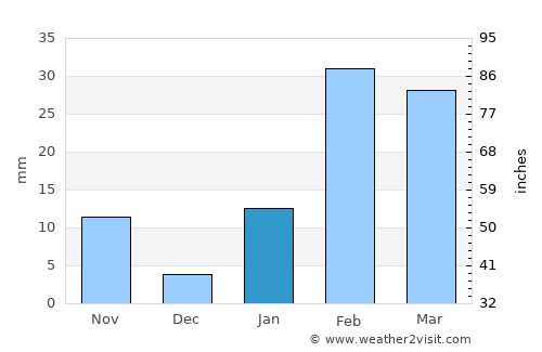 Chāmpua average rain in January