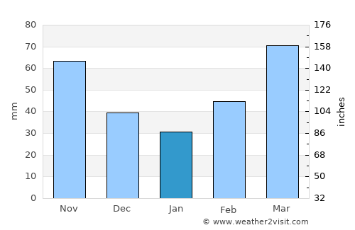 Chandler average rain in January
