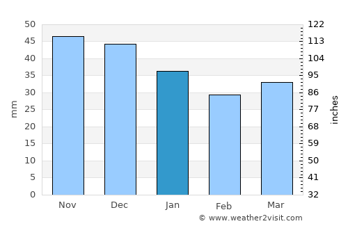 Chavusy average rain in January