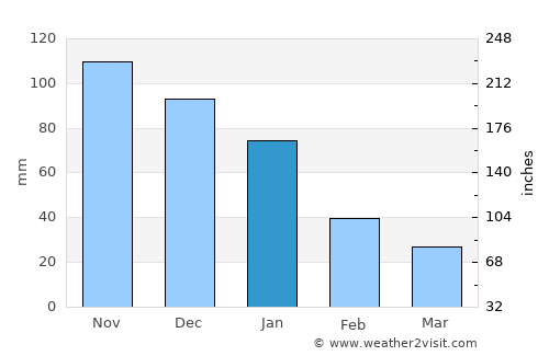 Chetumal average rain in January