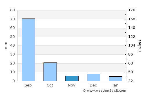 Chihuahua average rain in November