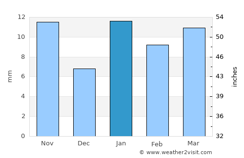 Chos Malal average rain in January