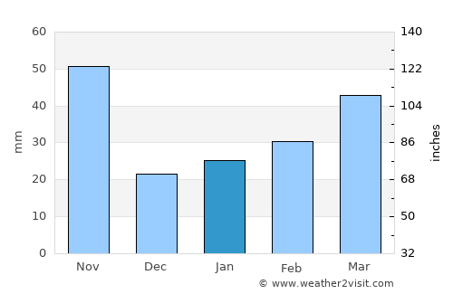 Chũ average rain in January