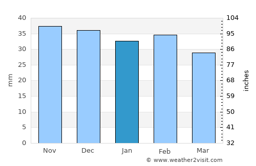 Cimişlia average rain in January