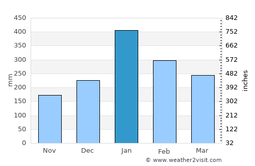 Ciputat average rain in January