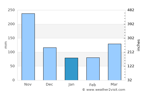 Cisneros average rain in January